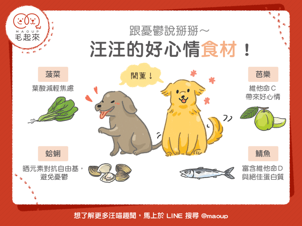 【汪喵餵養知識】跟憂鬱說掰掰～汪汪的好心情食材！