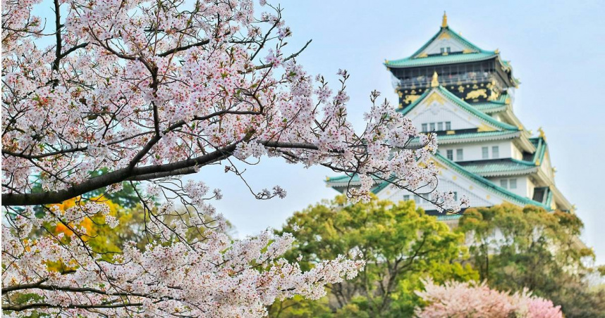 參加日本當地旅行團遇爭議！台人要對方「說中文」一票人搖頭：丟臉