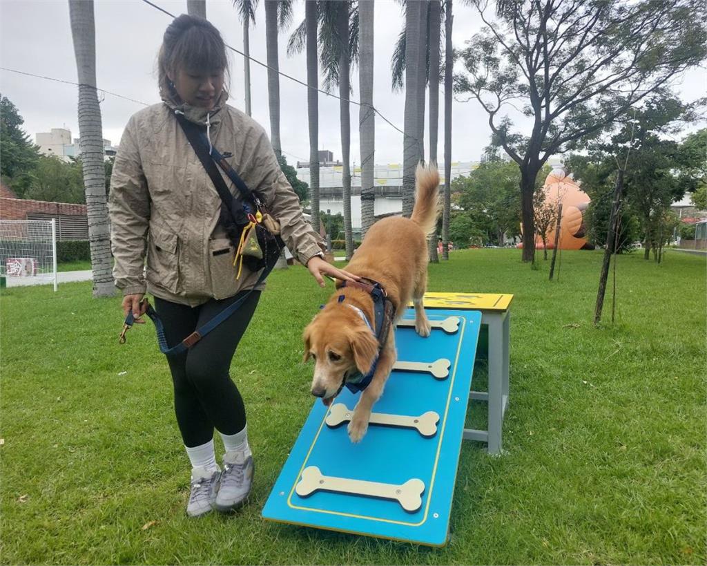 毛寶貝同樂迎耶誕　新北打造寵物友善遊樂園溫馨登場