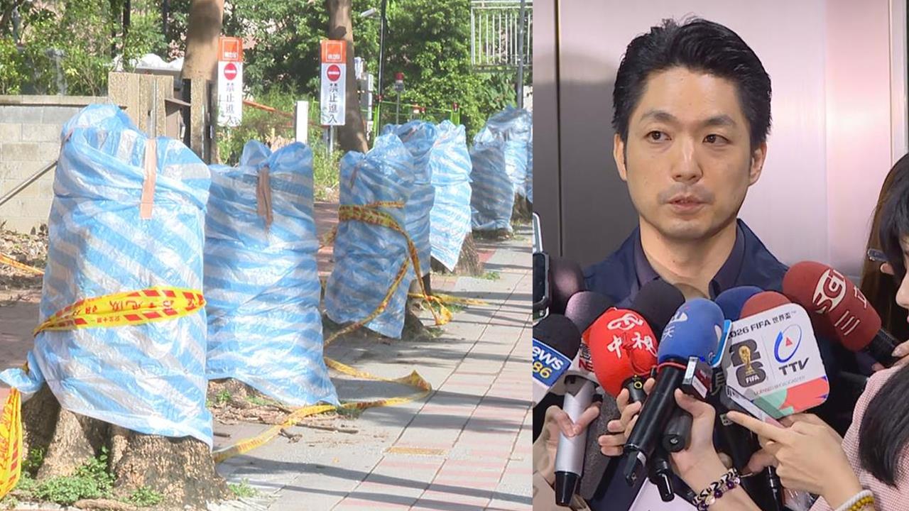 網傳北市砍4千多棵樹？蔣市府嗆已蒐證！簡舒培：蔣不出原因？先危機處理？