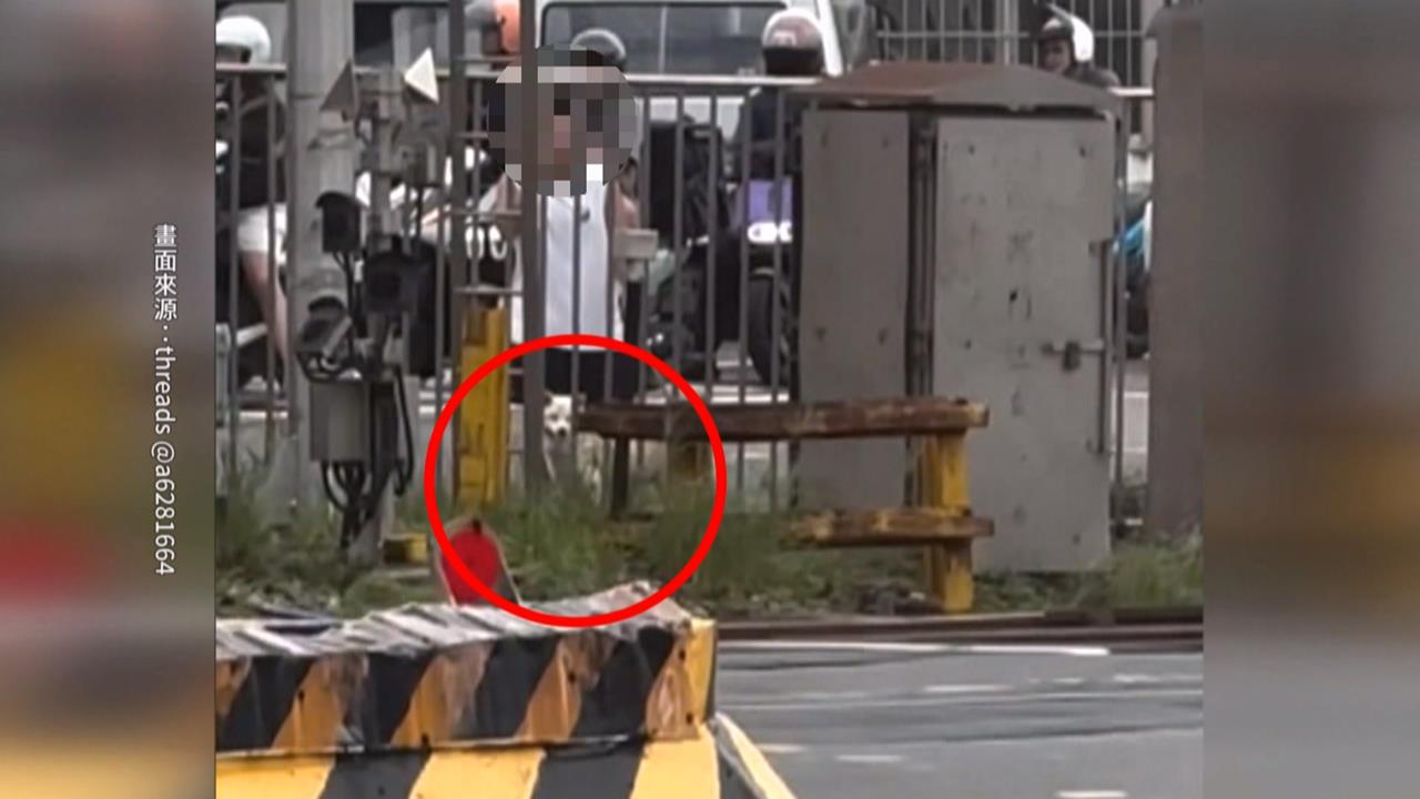 愛犬跳車衝平交道！　高雄女闖鐵軌抓狗「列車急煞」