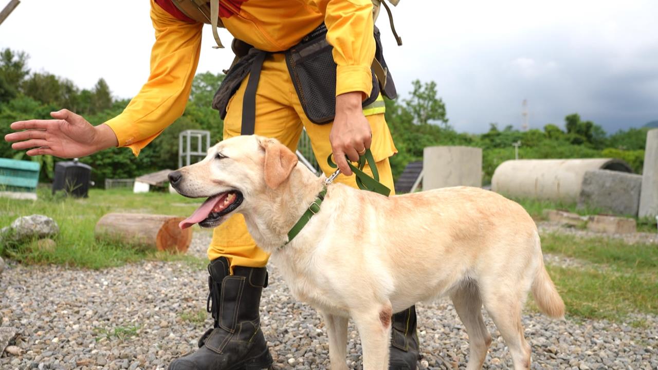 異言堂(影)/台灣搜救犬隊奪下世界第五 1致命弱點令人憂心
