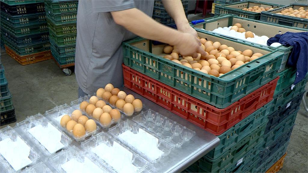 7月雞蛋超產！蛋價回穩至每台斤20.5元低於成本