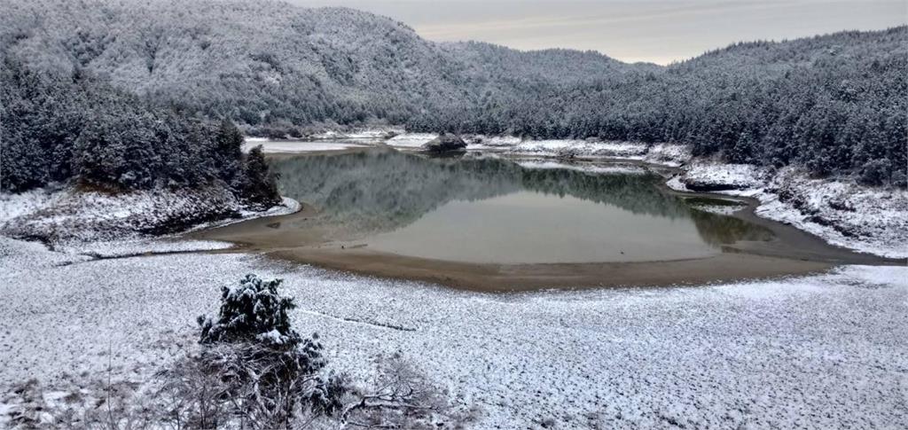 快新聞／冷氣團影響！太平山再現「霧淞美景」　整座山頭披上白色雪衣