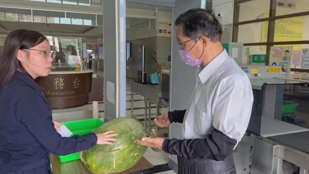 瓜藤遭砍求償鄰居12萬! 男不服判賠5千抱"巨大瓠瓜"陳情