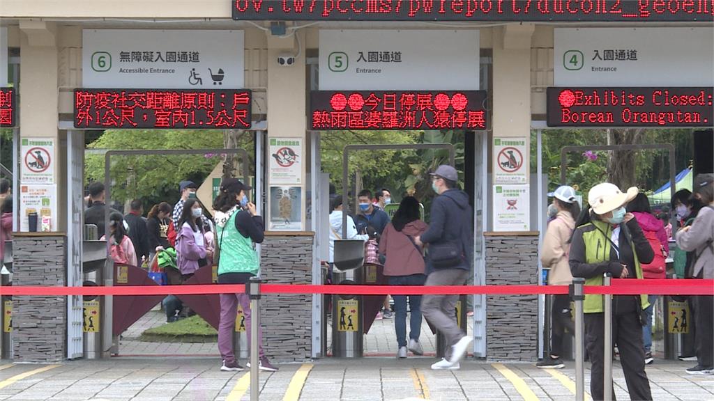 兒童節天氣回暖出太陽 北市動物園推免費入園引人潮