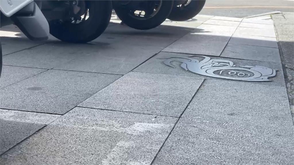 這裡不能停！磁磚被認成「退色白線」　民眾收罰單氣炸　找議員陳情