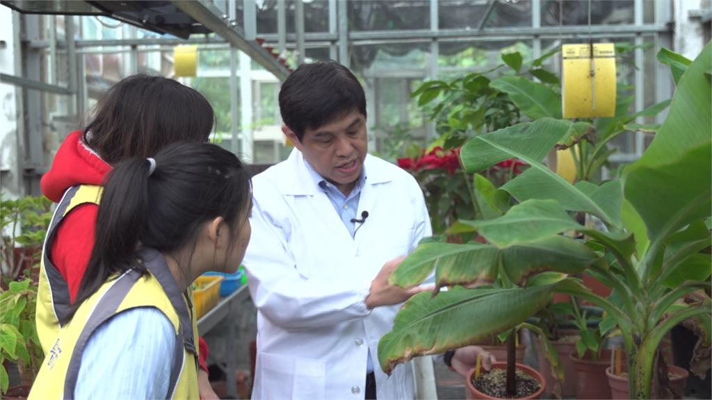 農委會邀「植物醫師」下鄉　幫農民解決農藥疑問