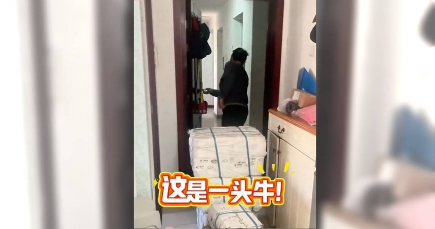 女遠嫁北京生病　爸媽默默寄「超大包裹」幫補身！她打開傻了：是整頭牛