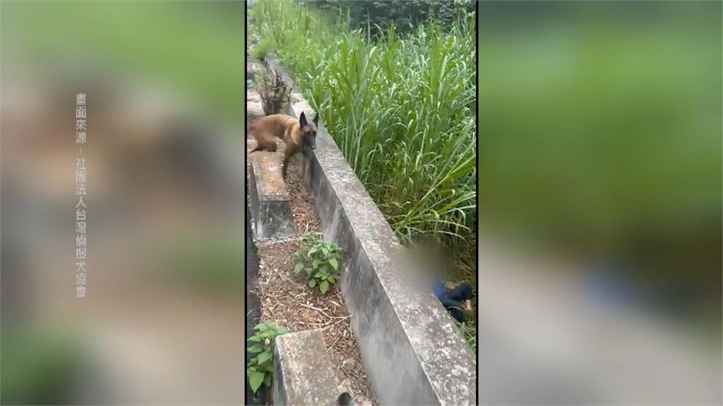 彰化失智嬤走失　搜救犬「馬莉」水溝找到人立功