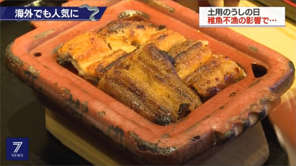 日本「土用丑日」吃鰻魚 全球價格飆得下重本