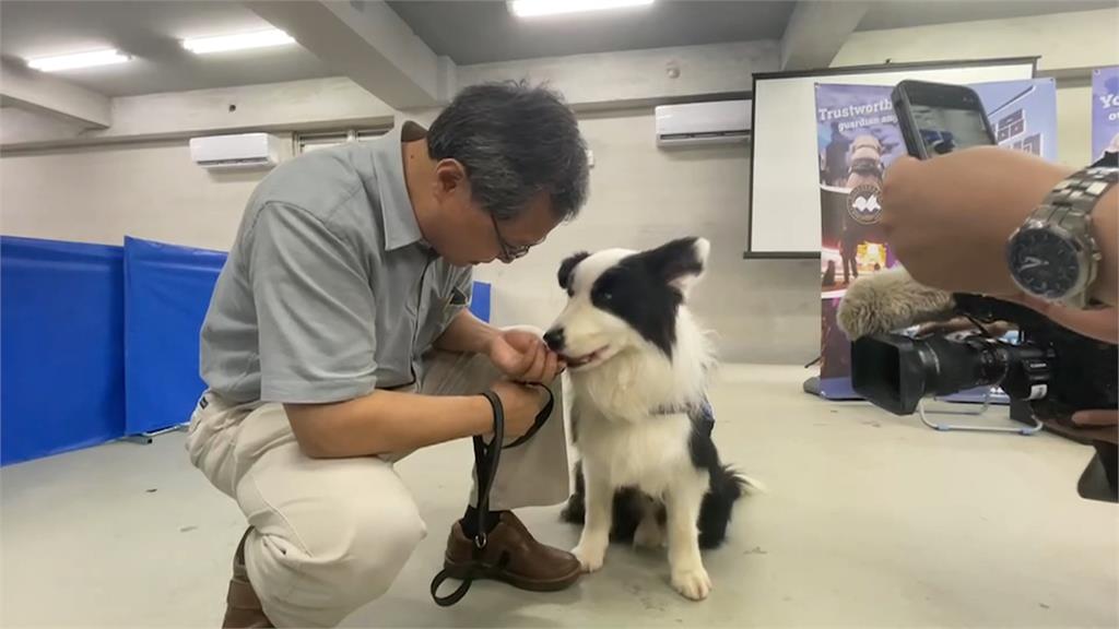 新北市刑大警犬畢業了！　與新主人展開「退休生活」