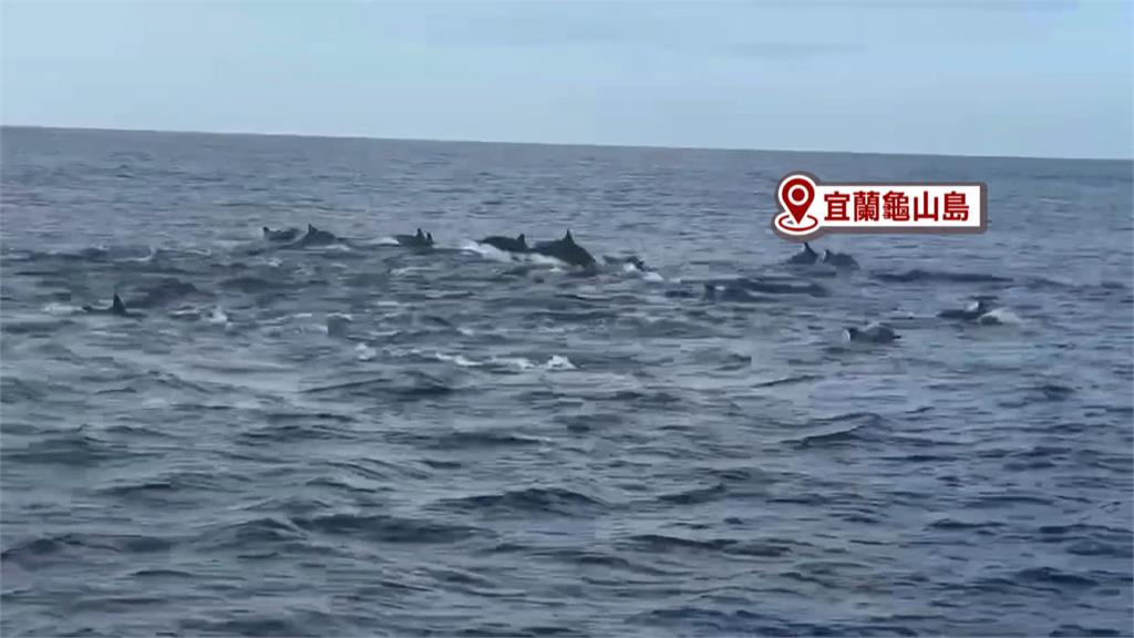今年首颱「蝴蝶」將生成？　氣象署：下週一後明朗發展