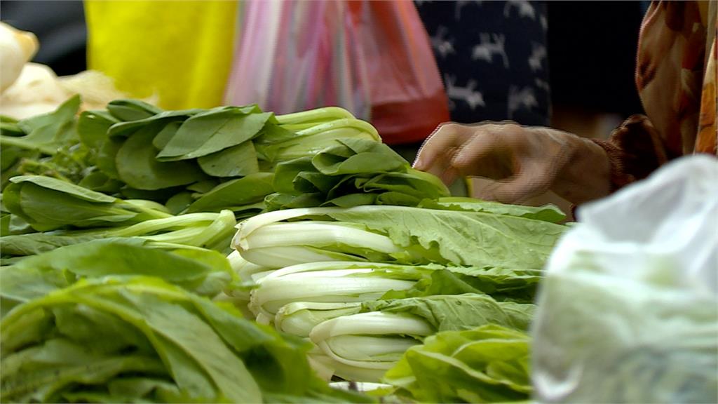 連日豪雨襲台菜價漲！小白菜漲幅達75％