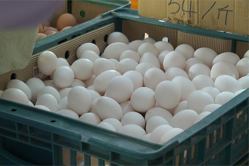 快新聞／雞蛋「邊進口邊銷毀」遭質疑　農業部：為維持安全庫存