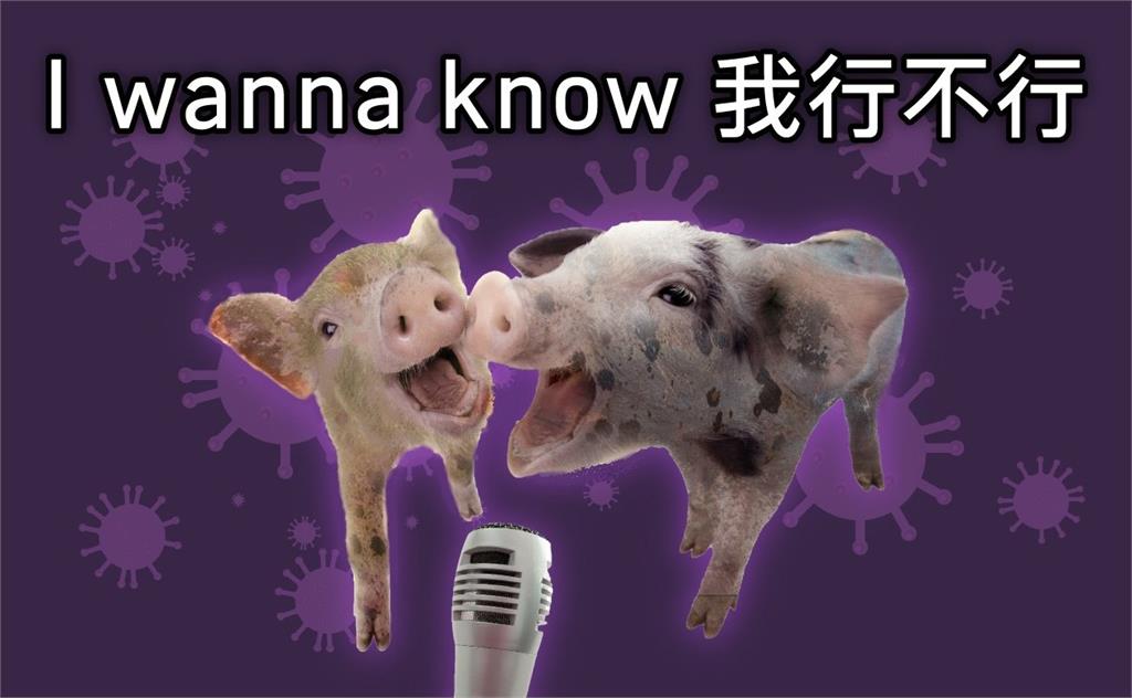 夜線／「小豬有病不行」！改編羅志祥名曲 海巡署防疫宣導超酸