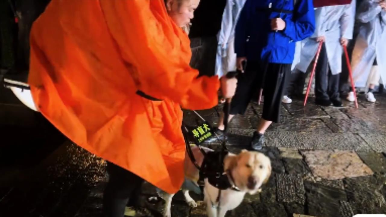 導盲犬全身溼透還遭「盲杖狂敲」！視障夫妻爬山虐狗行徑曝光…全網氣炸