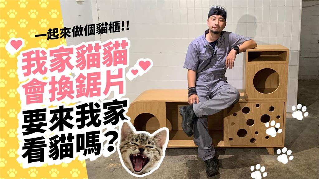 幫喵星人做貓窩竟外揭學徒「基本功」 網笑:還有會叫便當