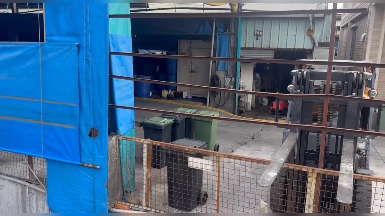彰化芬園關聯養豬場4死豬送驗 初步排除染非洲豬瘟
