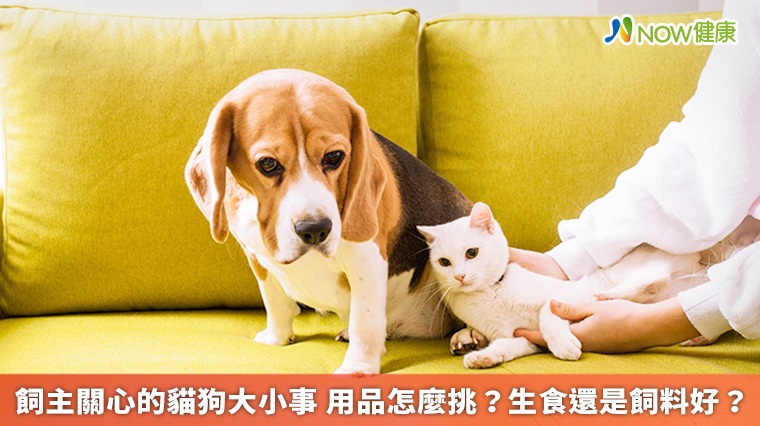 飼主關心的貓狗大小事 用品怎麼挑?生食還是飼料好?