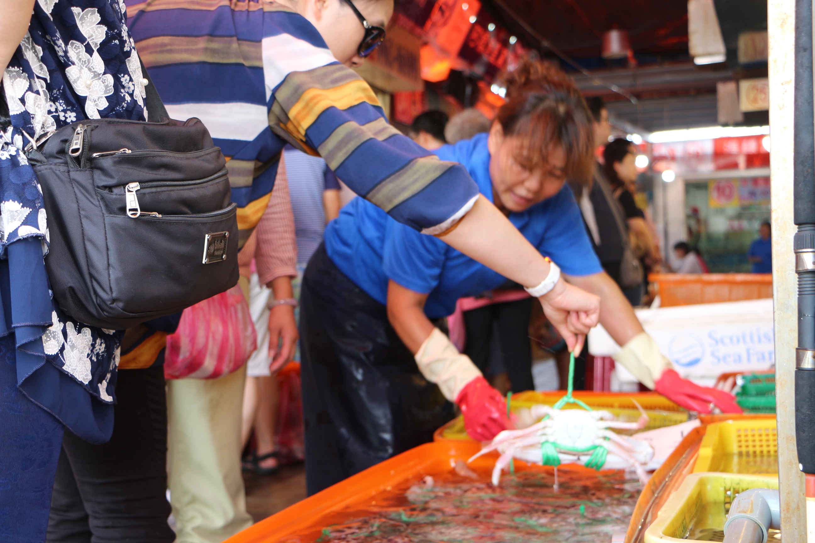 秋冬遊萬里，市集好康別錯過