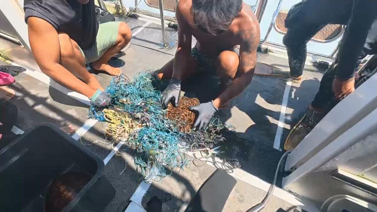 海上2隻小海龜被漁網纏繞！　澎湖浮潛業者果斷救援