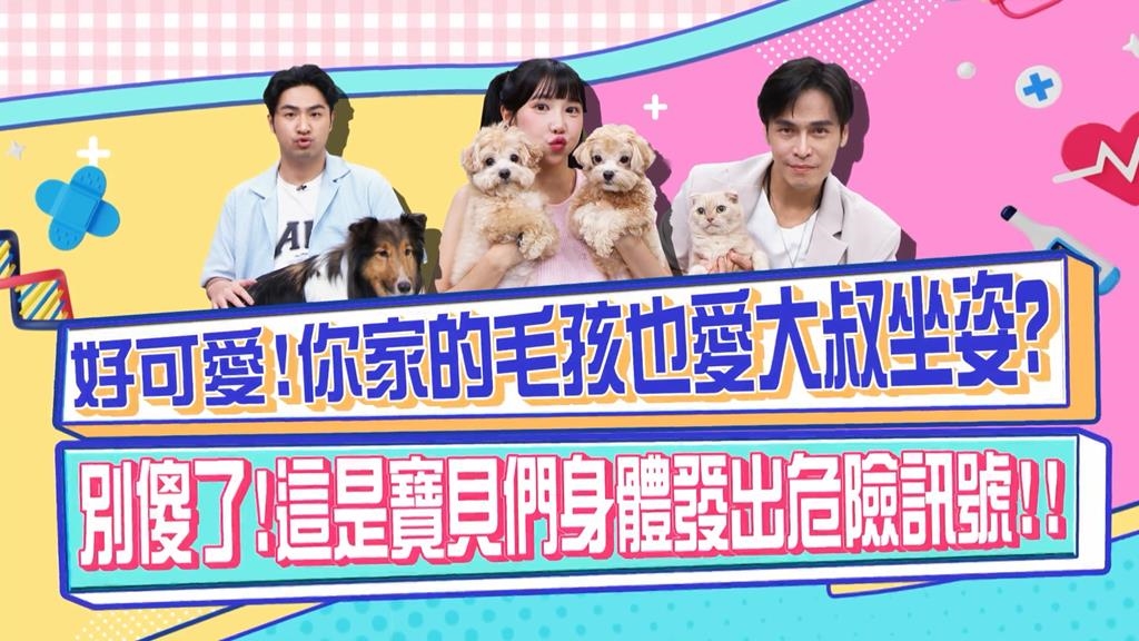 醫學(影)／鹿希派的貓咪呈「大叔坐姿」 這不是裝可愛是身體出問題？