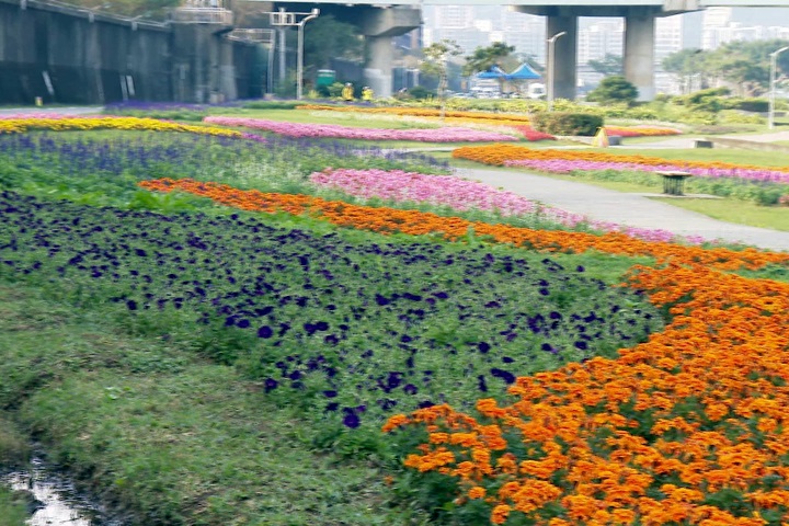 正值花海盛開期 台北登英國衛報度假地點