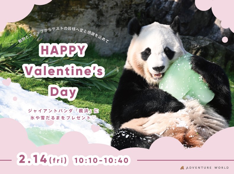 情人節傳愛！　日本和歌山動物園準備情人節大餐