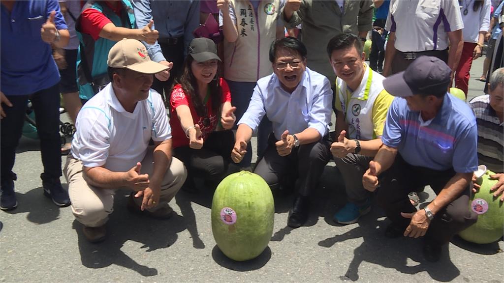 端午節不立蛋！潘孟安與六百民眾挑戰「立西瓜」