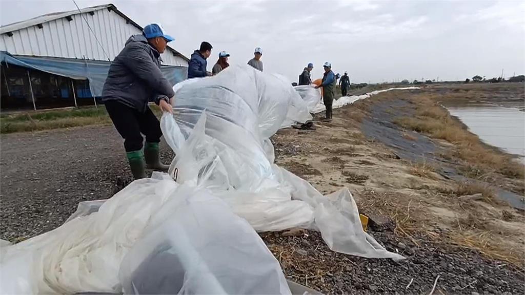 寒流來襲  農漁業防寒有撇步