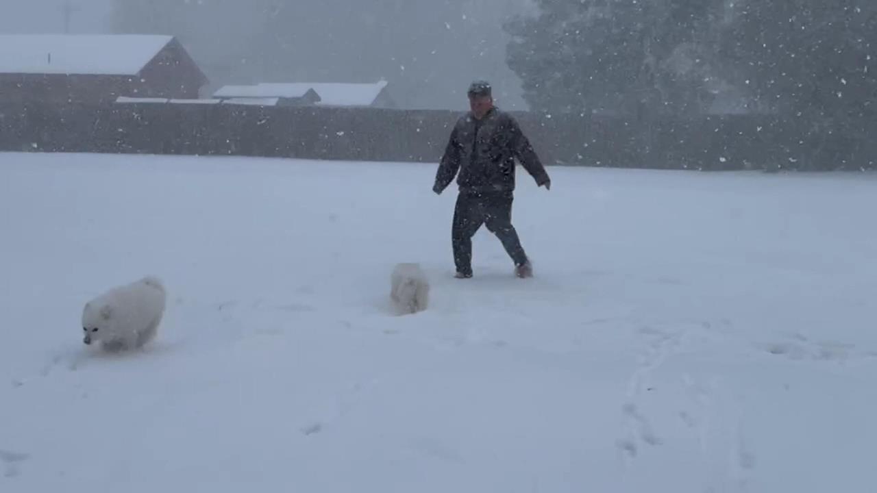 "炸彈氣旋"襲美！ 2700萬人受影響.已百人喪生