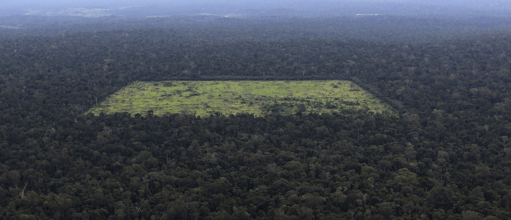 國際施壓減少亞馬遜森林砍伐　巴西要求金援