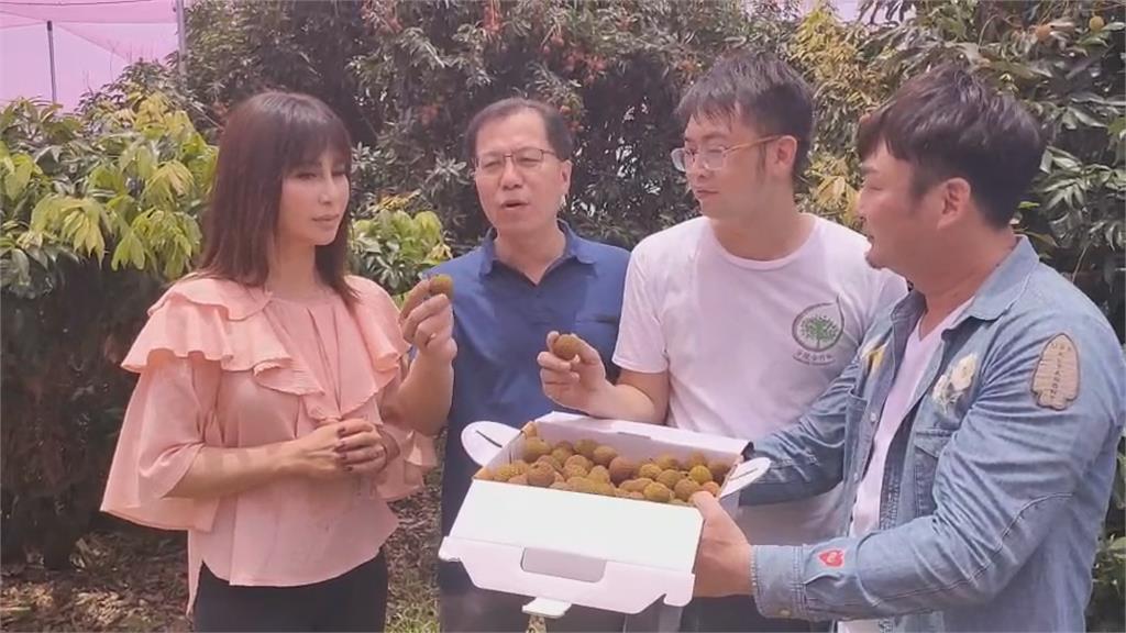 大豐收！梁佑南、紅毛 高雄果園採玉荷包
