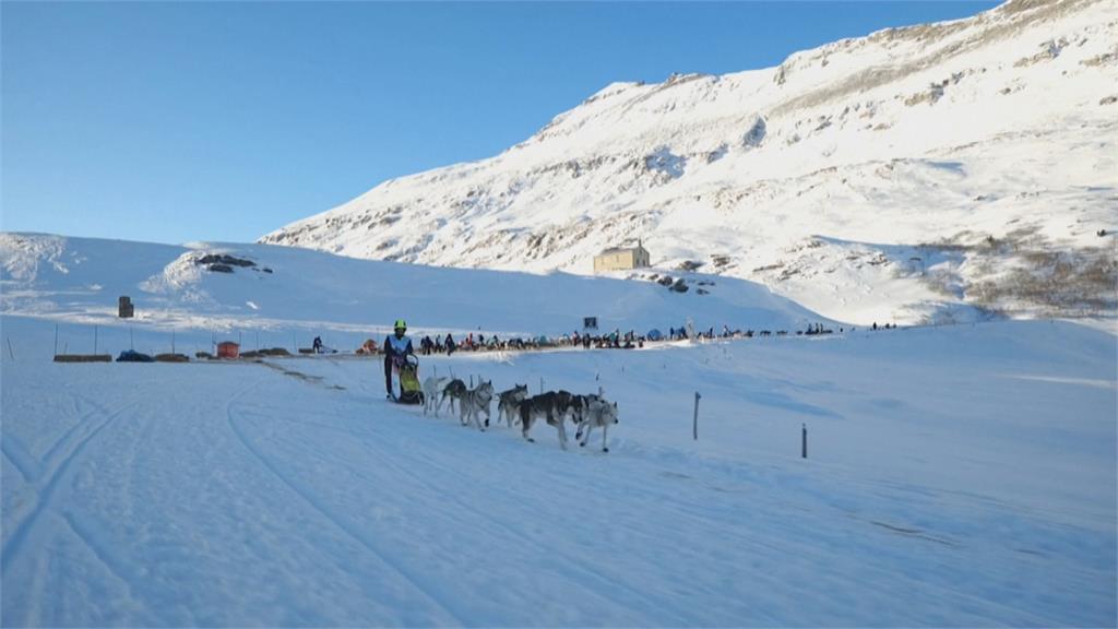 雪橇犬阿爾卑斯山上競速！法國好手寫四連霸