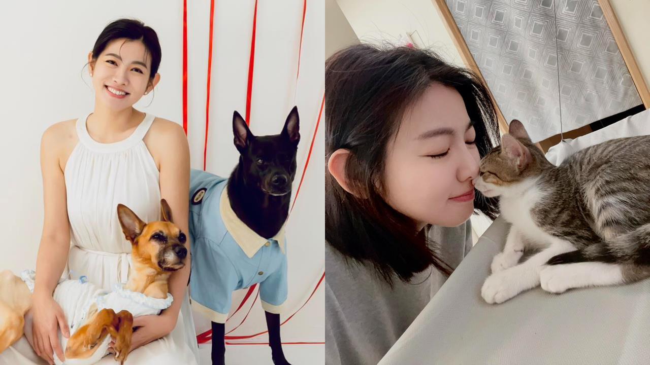 米可白騎車「曾出車禍」釀巨大陰影！拍戲遇「貓遭路殺」心碎發聲：好好當天使