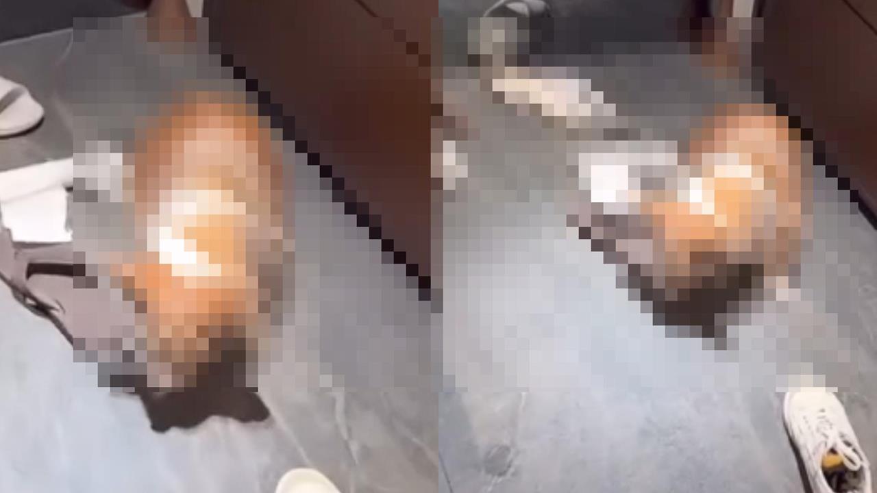 新／手搖店老闆「虐打年邁柯基」怒喊去S！犬隻下落曝光、動保處出手飼主GG了