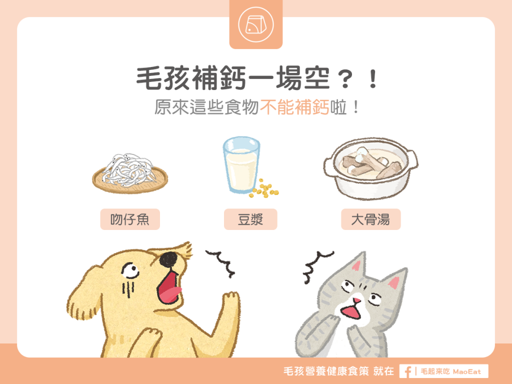 【毛孩食材圖鑑】毛孩補鈣一場空？原來這些食物不能補鈣！