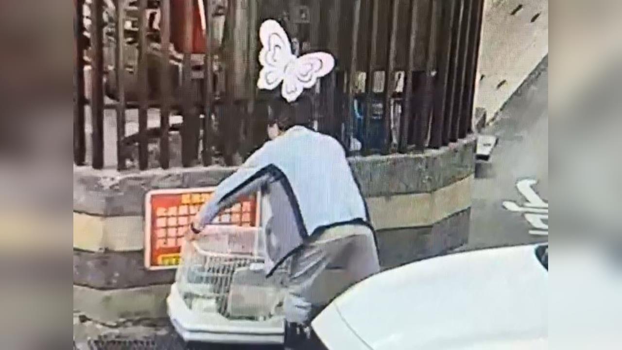 基隆路邊驚現「10兔」公母同籠　飼主嗆：沒棄養、告動保所侵占