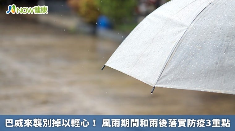 巴威來襲別掉以輕心! 風雨期間和雨後落實防疫3重點