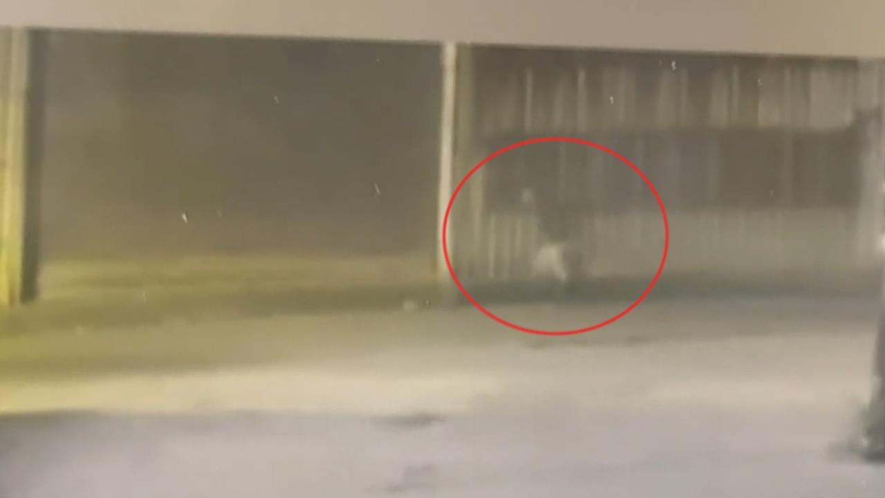 蘆竹埔心溪驚見男浮屍　兒因病過世父丟溪中棄屍