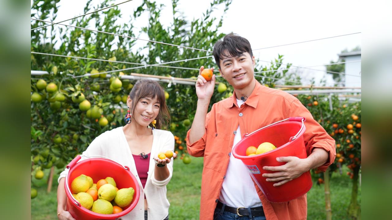 余思達入主無線台男主持卻被封「名符其實的猴囝仔」！段慧琳不服輸穿小可愛與長靴爬樹