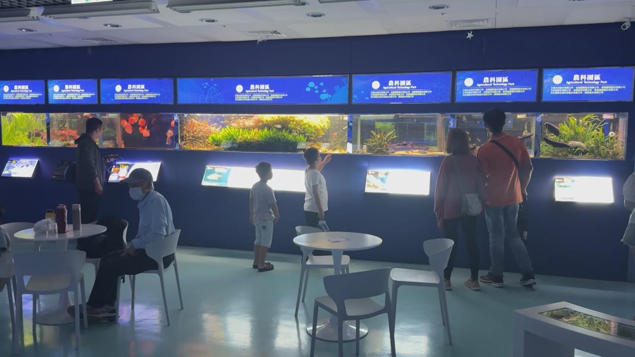 假日好去處！農業科技園區＂觀賞水族展示廳"＂　展出各式魚類
