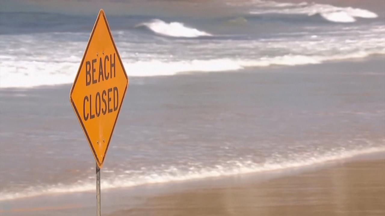雪梨海灘致命鯊魚襲擊　衝浪好手斷肢失血身亡