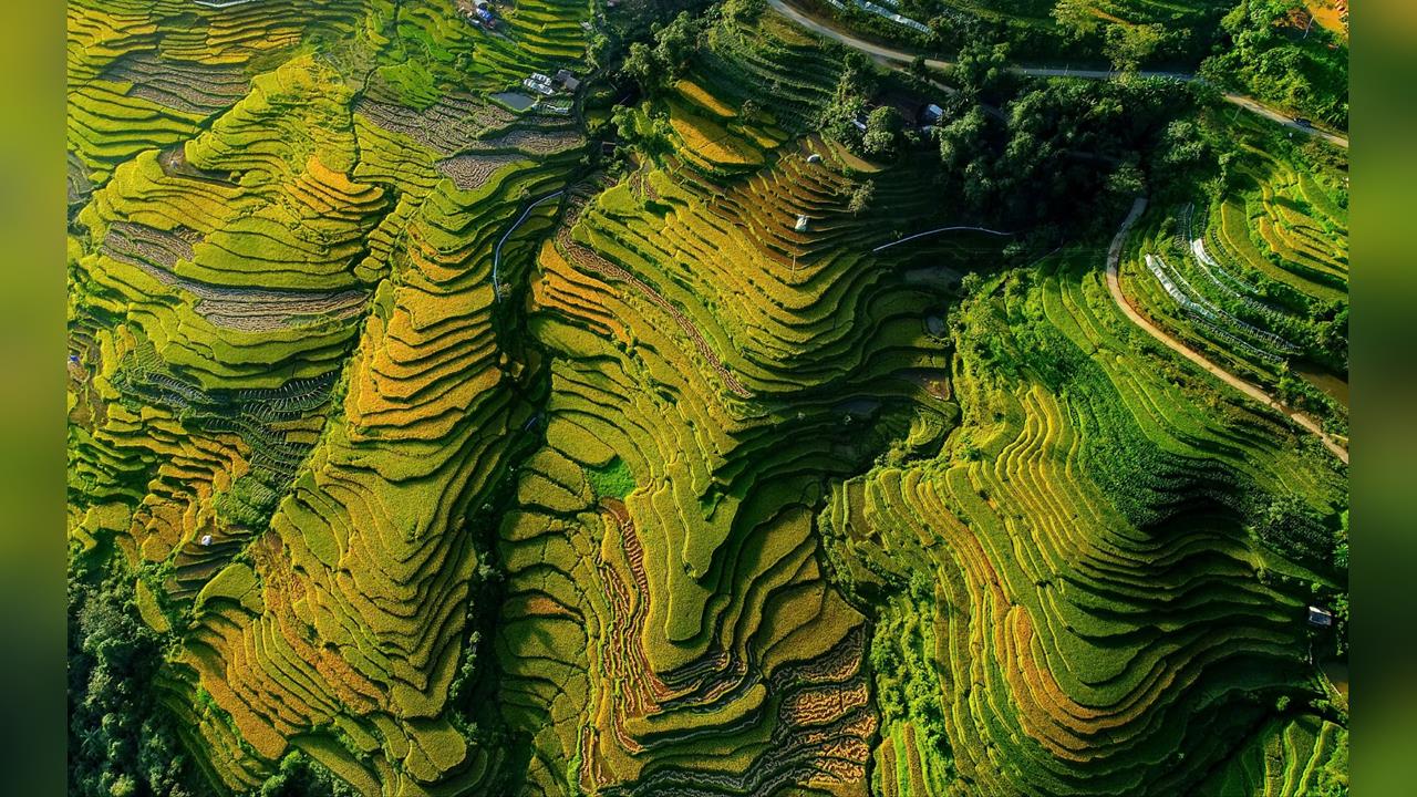 南韓人遊越南成「行走錢包」？　網友怨：被當愛花錢的盤子