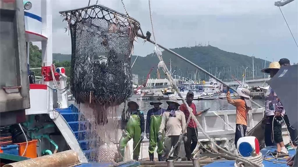 異言堂／日排含氚核廢水　環團憂影響水產生態 