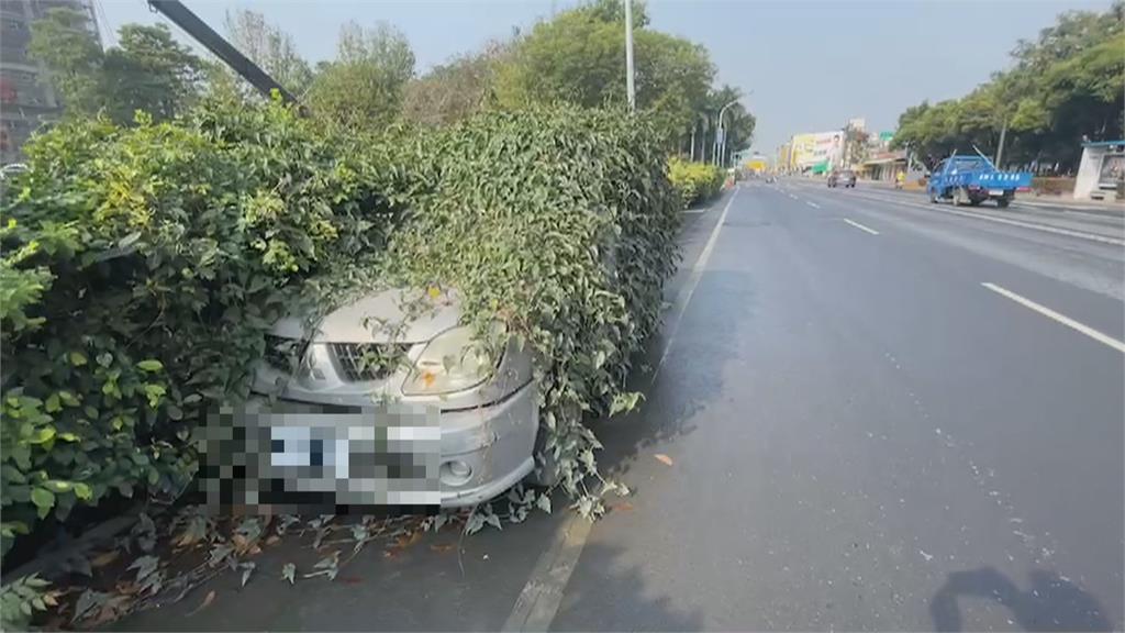 停多久？整台車被藤蔓包圍 警方貼公告限期移車