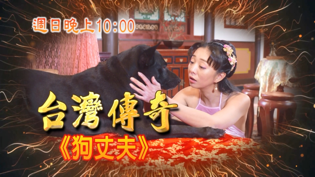 《台灣傳奇》千金與狗在一起？少爺愛上丫鬟？下人各懷鬼胎？
