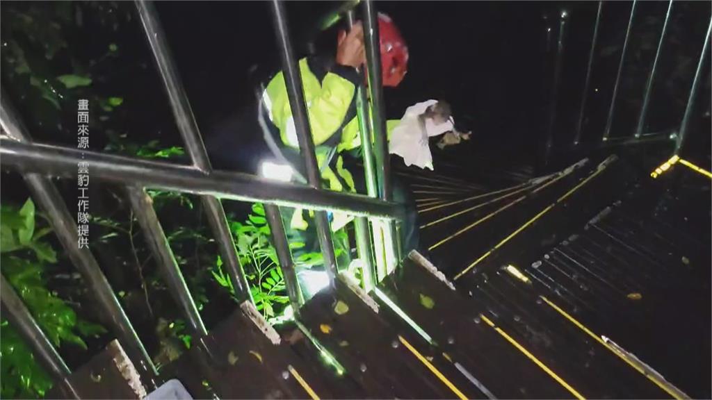 高雄柴山登山步道驚現　無助小獼猴　搜救隊緊急救援