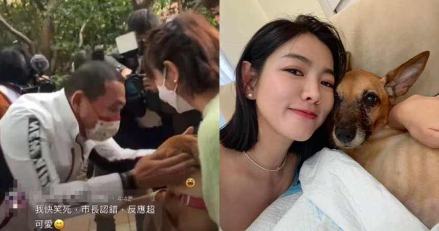昔被侯友宜「叫錯名」成迷因！　米可白愛犬錢錢不敵胃癌病逝